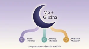 Infografía del glicinato de magnesio: magnesio quelado con glicina para sueño profundo, manejo del estrés y relajación muscular, sin efecto laxante