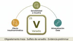 Ficha del vanadio (V) como oligoelemento traza: número atómico 23, con funciones en efecto insulinomimético, sensibilidad a la insulina y mineralización ósea