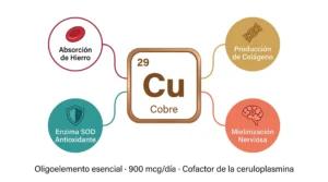 Ficha del cobre (Cu) como oligoelemento esencial: número atómico 29, con funciones en absorción de hierro, producción de colágeno, defensa antioxidante (SOD) y mielinización nerviosa