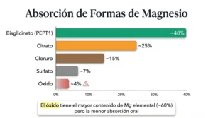 Gráfico comparativo de la absorción de cinco formas de magnesio: bisglicinato (40%), citrato (25%), cloruro (15%), sulfato (7%) y óxido (4%) — el óxido tiene la menor biodisponibilidad oral