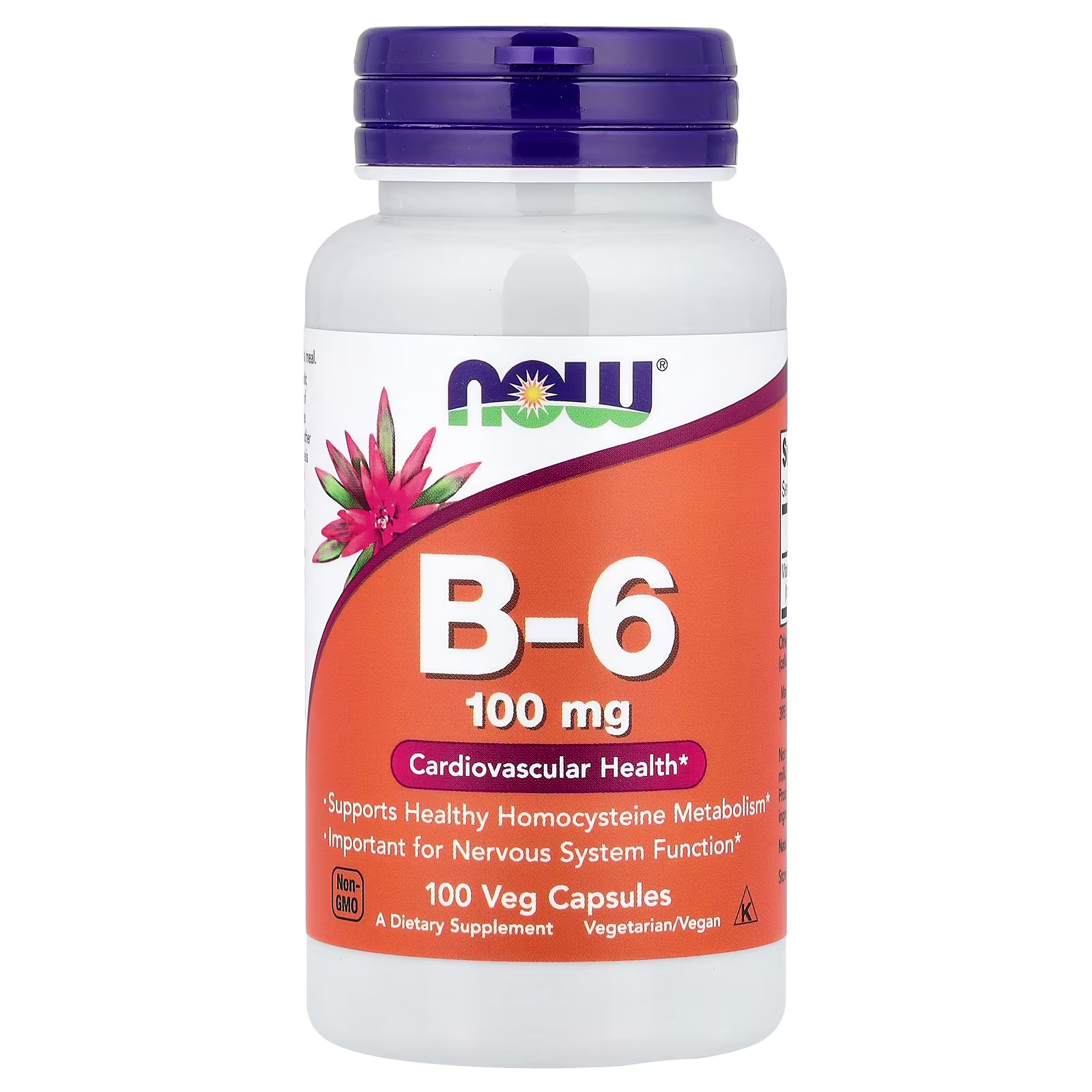 Vitamina B6, 100 mg, 100 cápsulas vegetales, NOW Foods