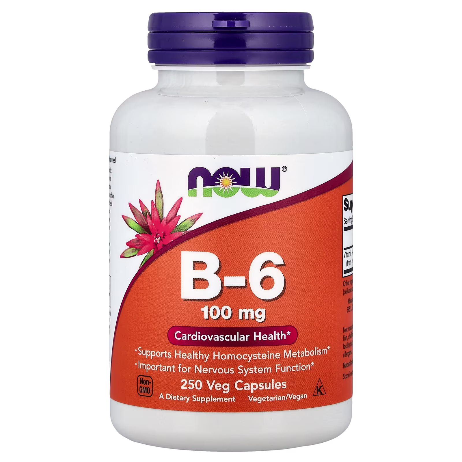 Vitamina B6, 100 mg, 250 cápsulas vegetales, NOW Foods