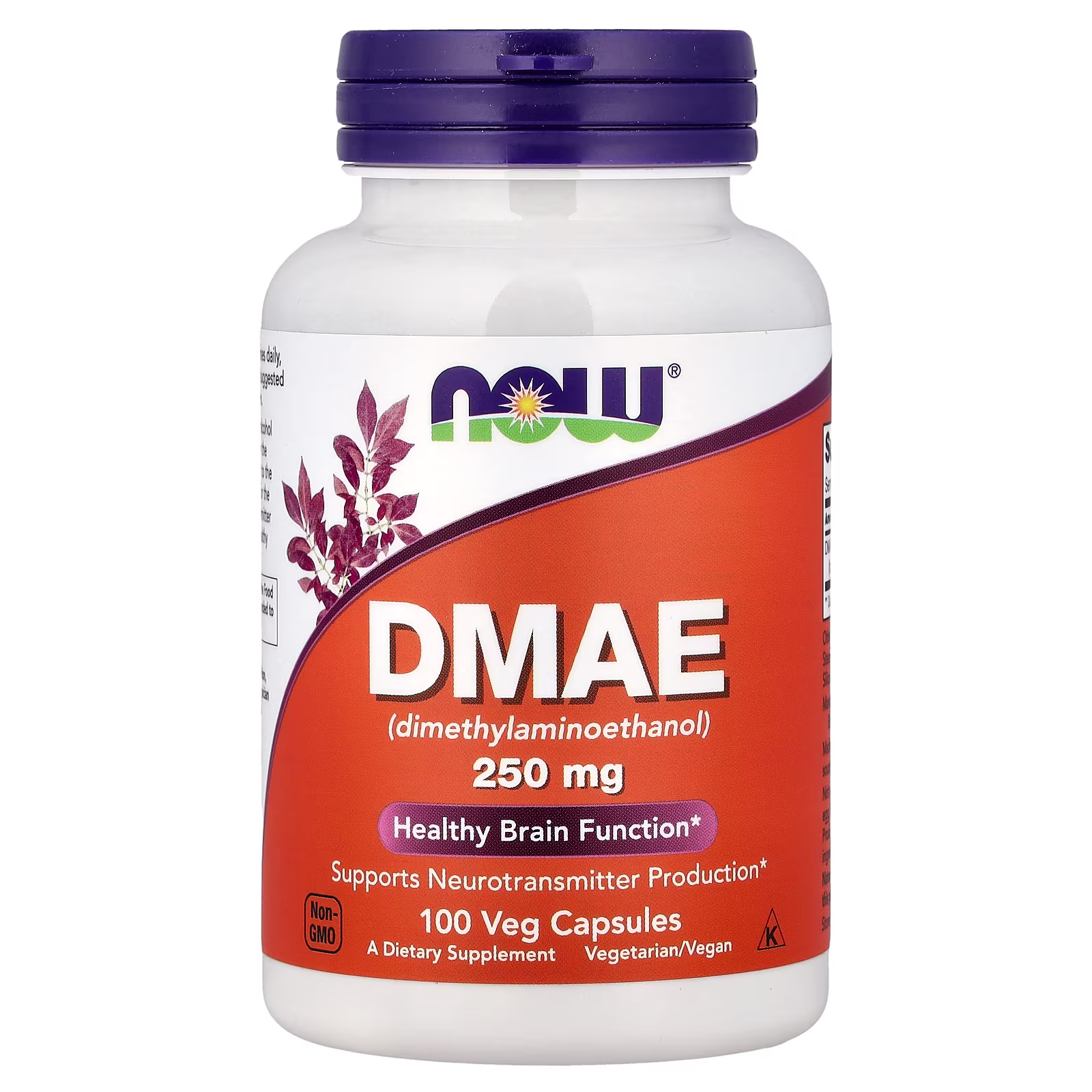 DMAE, 250 mg, 100 cápsulas vegetales, NOW Foods